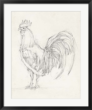 Framed Rooster Sketch II Print