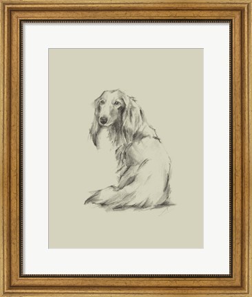 Framed Puppy Dog Eyes II Print