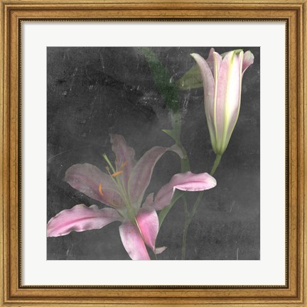 Framed Fleur de Lys II Print