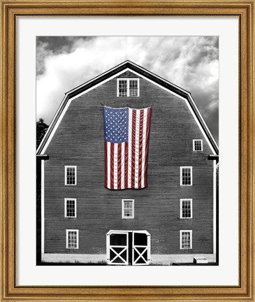 Framed Flags of Our Farmers XIX Print