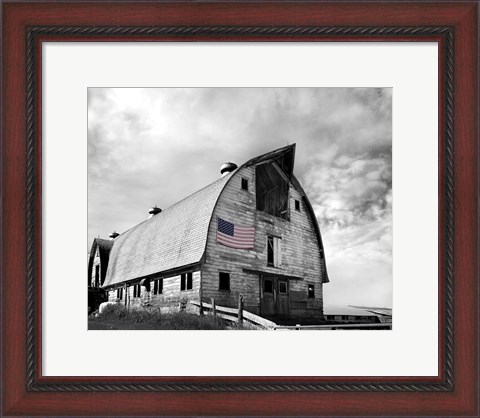 Framed Flags of Our Farmers X Print