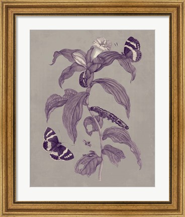 Framed Nature Study in Plum &amp; Taupe I Print
