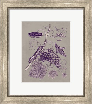 Framed Nature Study in Plum &amp; Taupe III Print