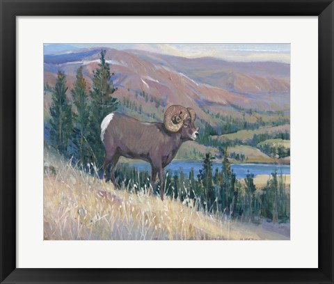 Framed Animals of the West III Print