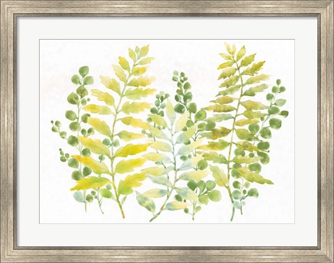 Framed Mixed Greenery I Print