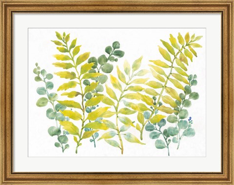 Framed Mixed Greenery II Print