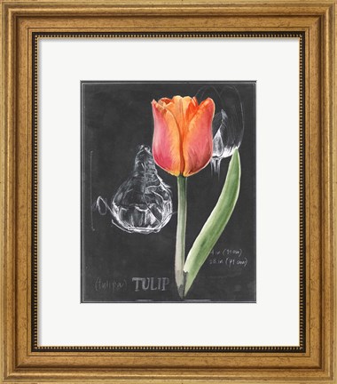 Framed Chalkboard Flower III Print