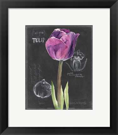 Framed Chalkboard Flower IV Print