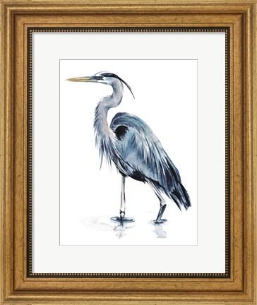 Framed Blue Blue Heron II Print