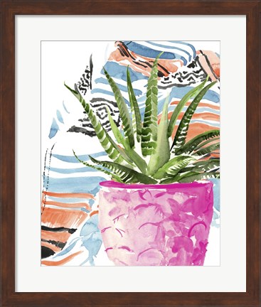 Framed Zebra Succulent I Print