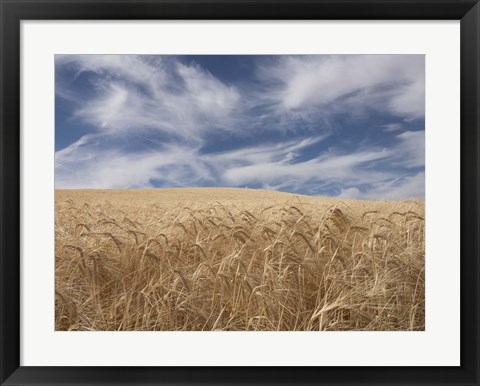 Framed Farm &amp; Field II Print