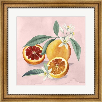 Framed Orange Blossom II Print