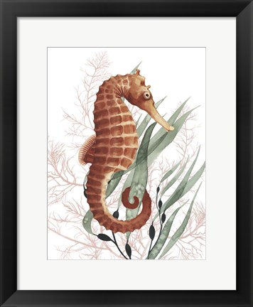 Framed Seahorse Treasures I Print