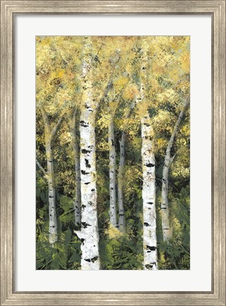 Framed Birch Treeline II Print