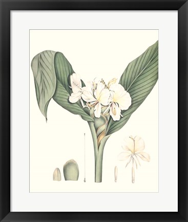 Framed Soft Tropical V Print