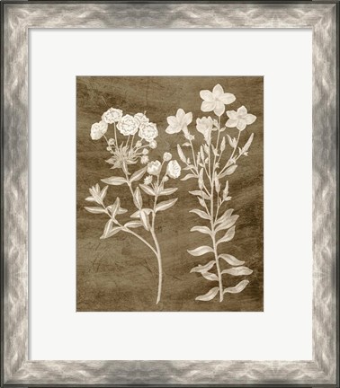 Framed Botanical in Taupe I Print