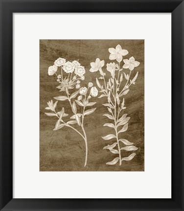 Framed Botanical in Taupe I Print