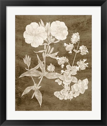 Framed Botanical in Taupe II Print