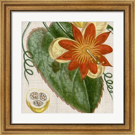 Framed Cropped Turpin Tropicals I Print