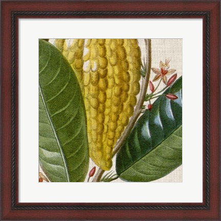 Framed Cropped Turpin Tropicals VI Print