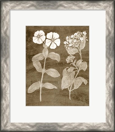 Framed Botanical in Taupe IV Print