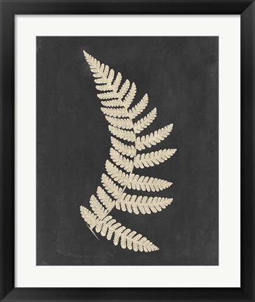 Framed Linen Fern IV Print