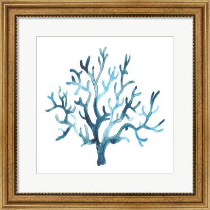 Framed Azure Seafan I Print