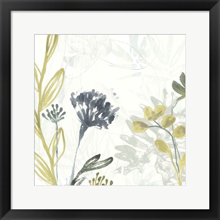 Framed Tropical Stems II Print