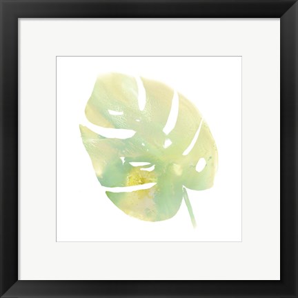 Framed Prisma Tropical I Print