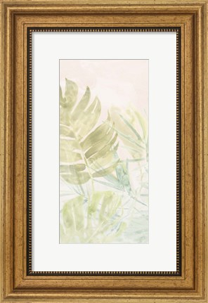 Framed Tropical Sorbet II Print