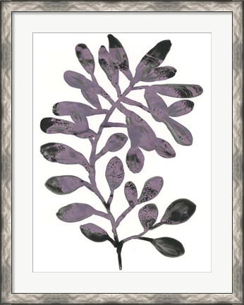 Framed Foliage Fossil VIII Print