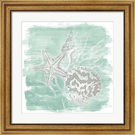 Framed Weathered Shell Assortment II Print