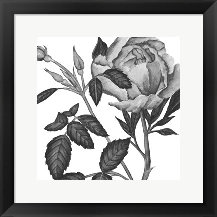 Framed Flowers in Grey I Print