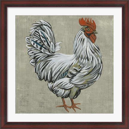 Framed Roost III Print