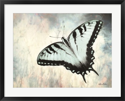 Framed Teal Butterfly II Print