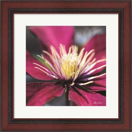 Framed Floral Pop II Print