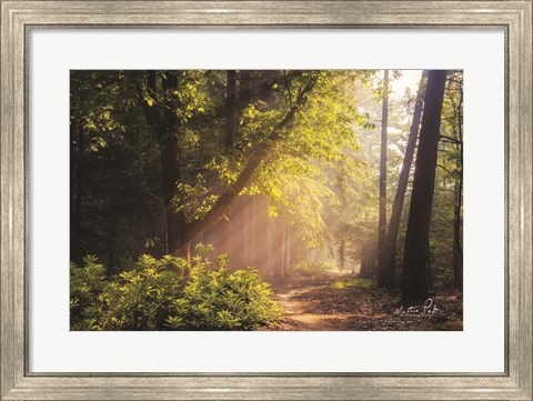 Framed Sunny Trail Print