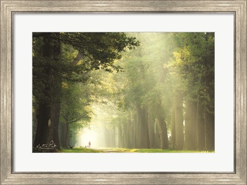 Framed Take a Walk Print