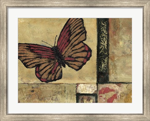 Framed Butterfly in Border I Print