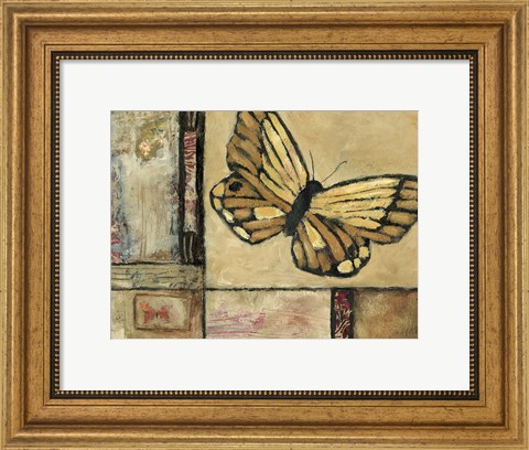 Framed Butterfly in Border II Print