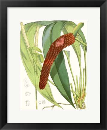 Framed Tropical Variety V Print