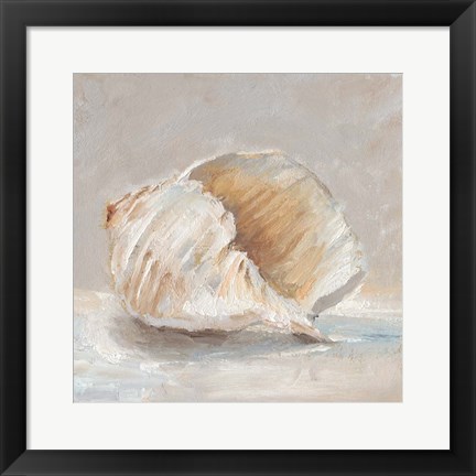 Framed Impressionist Shell Study IV Print