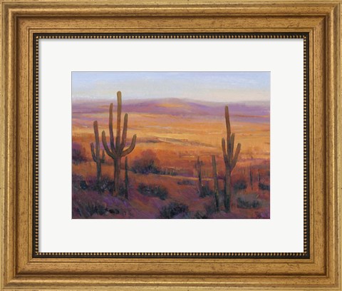 Framed Desert Light II Print