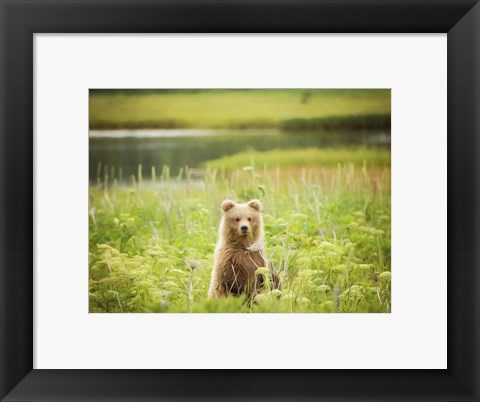 Framed Bear Life VII Print