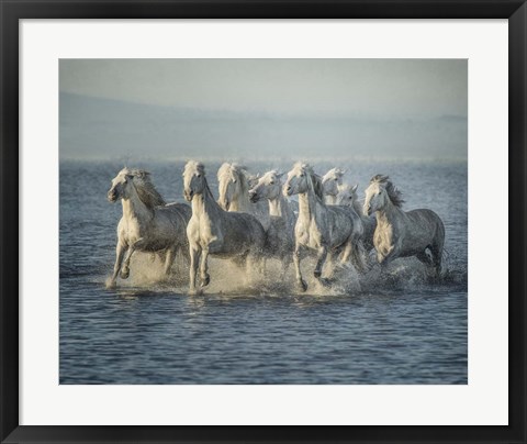 Framed Water Horses VI Print