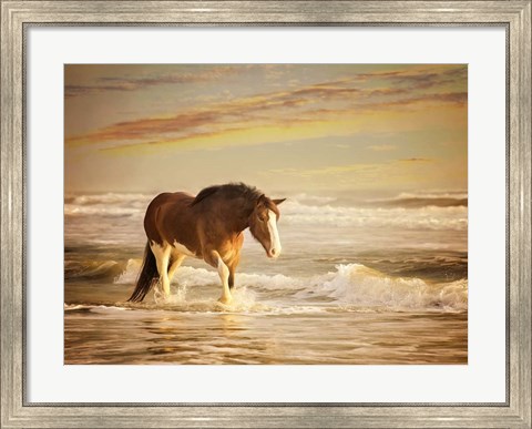 Framed Sunkissed Horses V Print