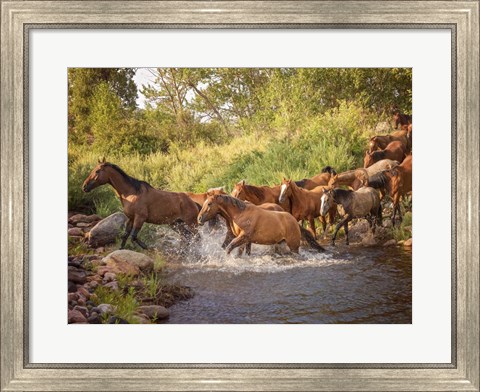 Framed River Horses II Print