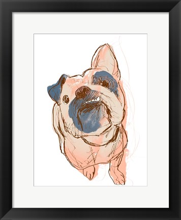 Framed Dog Portrait--Bobo Print