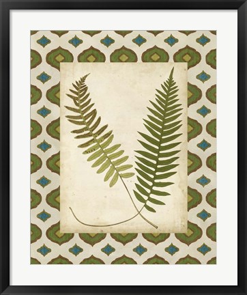 Framed Moroccan Ferns III Print