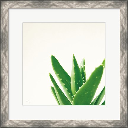 Framed Succulent Simplicity VI Neutral Print